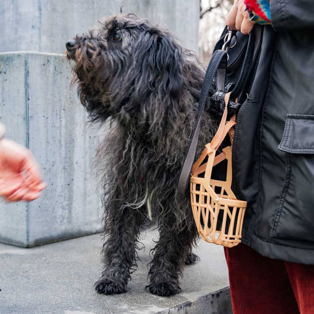 Hände weg von Kuba!