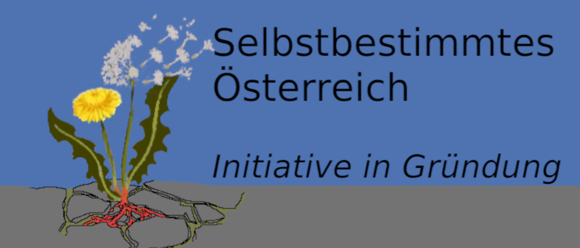 Vorläufiges Logo Selbbstbestimmtes Österreich